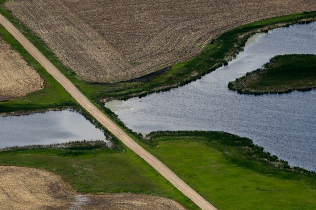 A road bisects a wetland on June 20, 2019, near Kulm, N.D. 