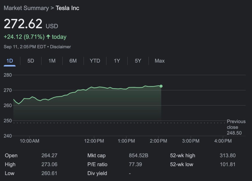 Tesla's share price has already more than doubled so far this year.