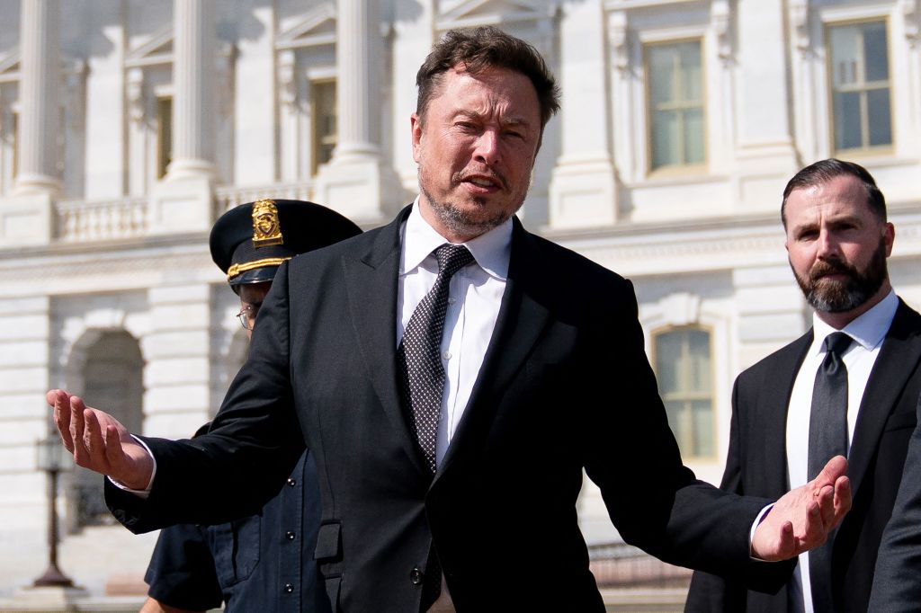 Shanahan and Tesla CEO Elon Musk have denied a report that their affair sparked the divorce from Brin.