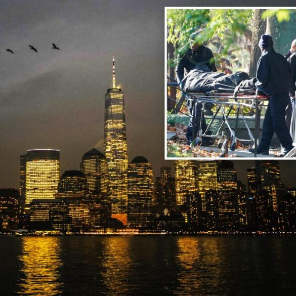 Murders down up to 20% in some major US cities -- including NYC: 'Very positive trends'